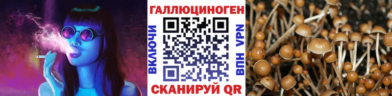 купить   кракен рабочий сайт  Галлюциногенные грибы мухоморы  Благодарный 